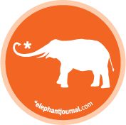 elephanteditors-1413
