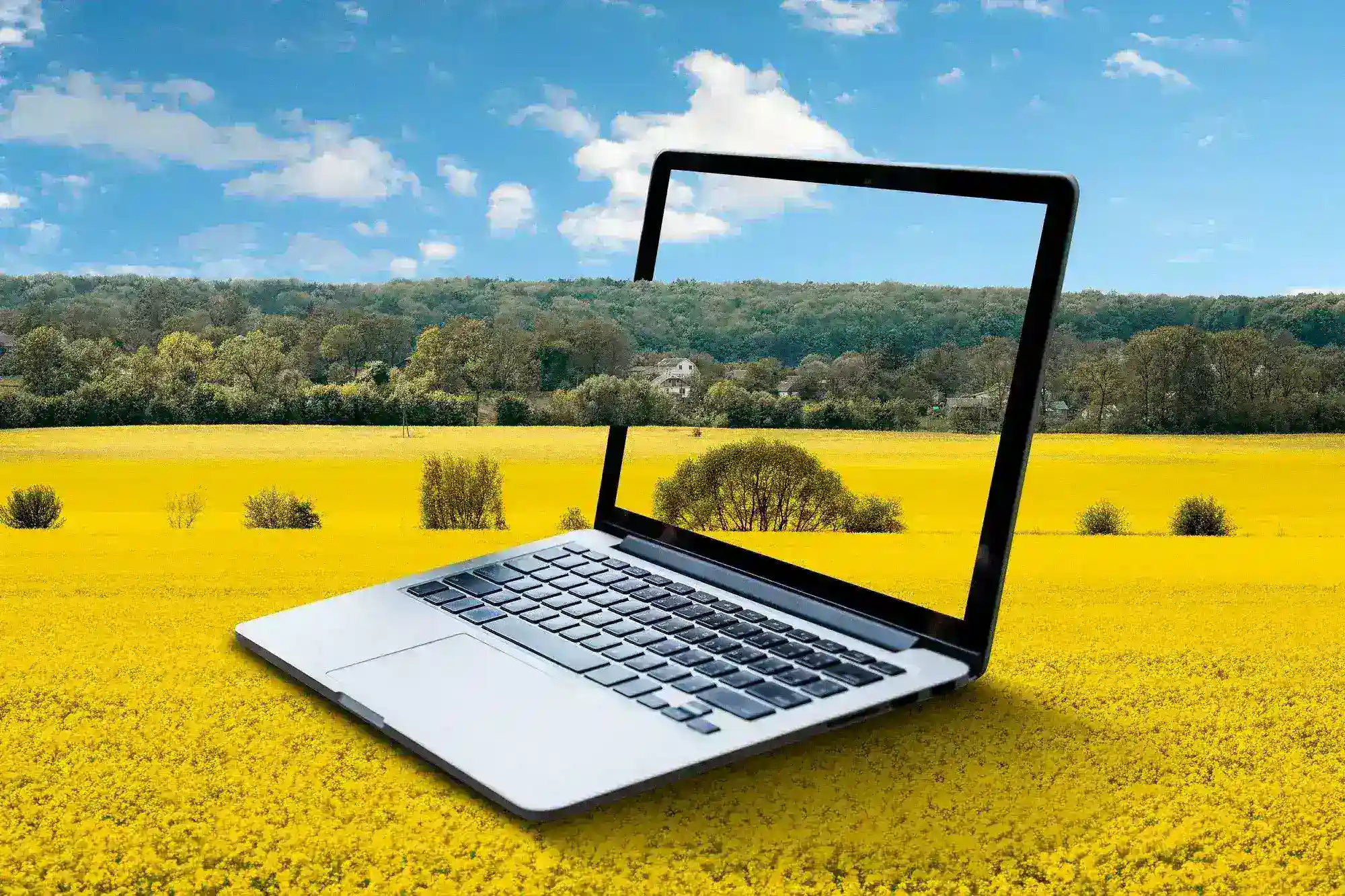 El Impacto de la Tecnología en la Conservación de los Recursos Naturales